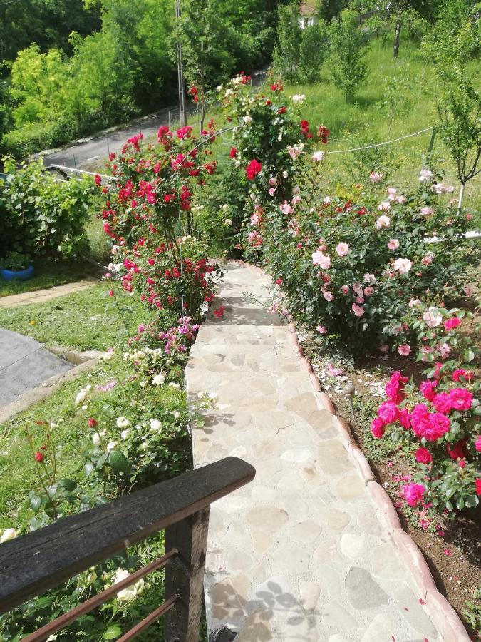 Casuta Cu Trandafiri Hotel Szlanik Kültér fotó
