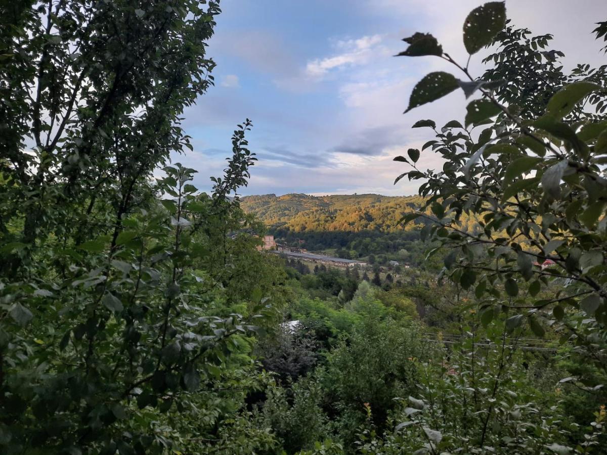Casuta Cu Trandafiri Hotel Szlanik Kültér fotó