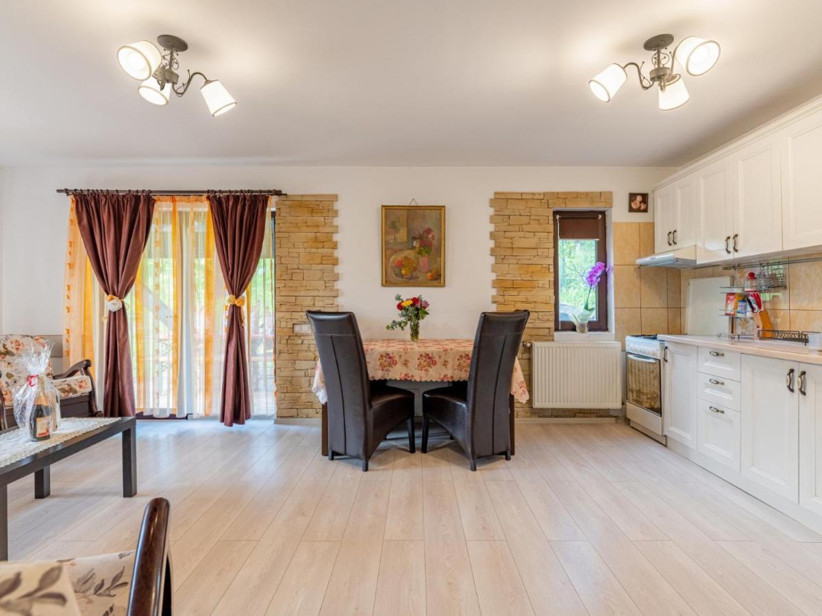 Casuta Cu Trandafiri Hotel Szlanik Kültér fotó