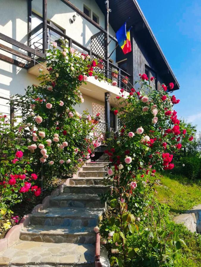 Casuta Cu Trandafiri Hotel Szlanik Kültér fotó