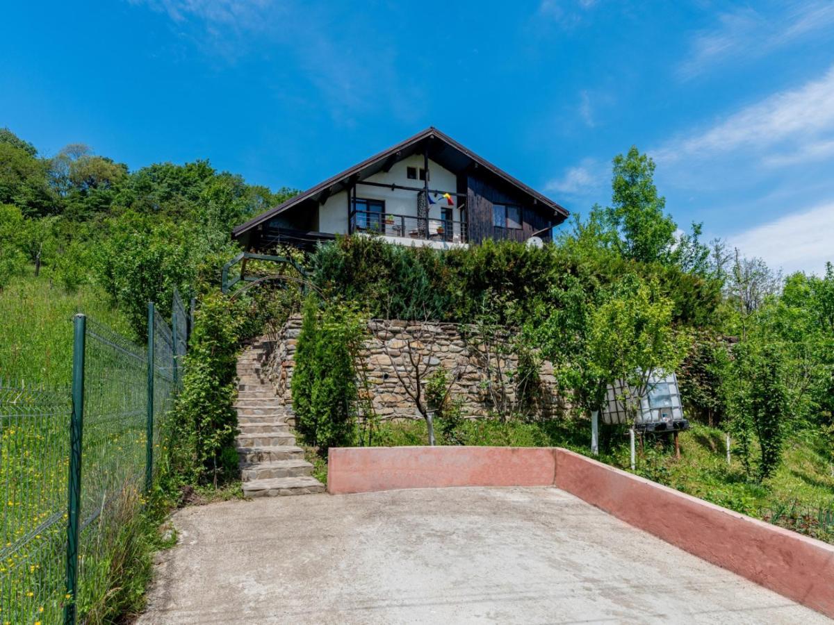 Casuta Cu Trandafiri Hotel Szlanik Kültér fotó
