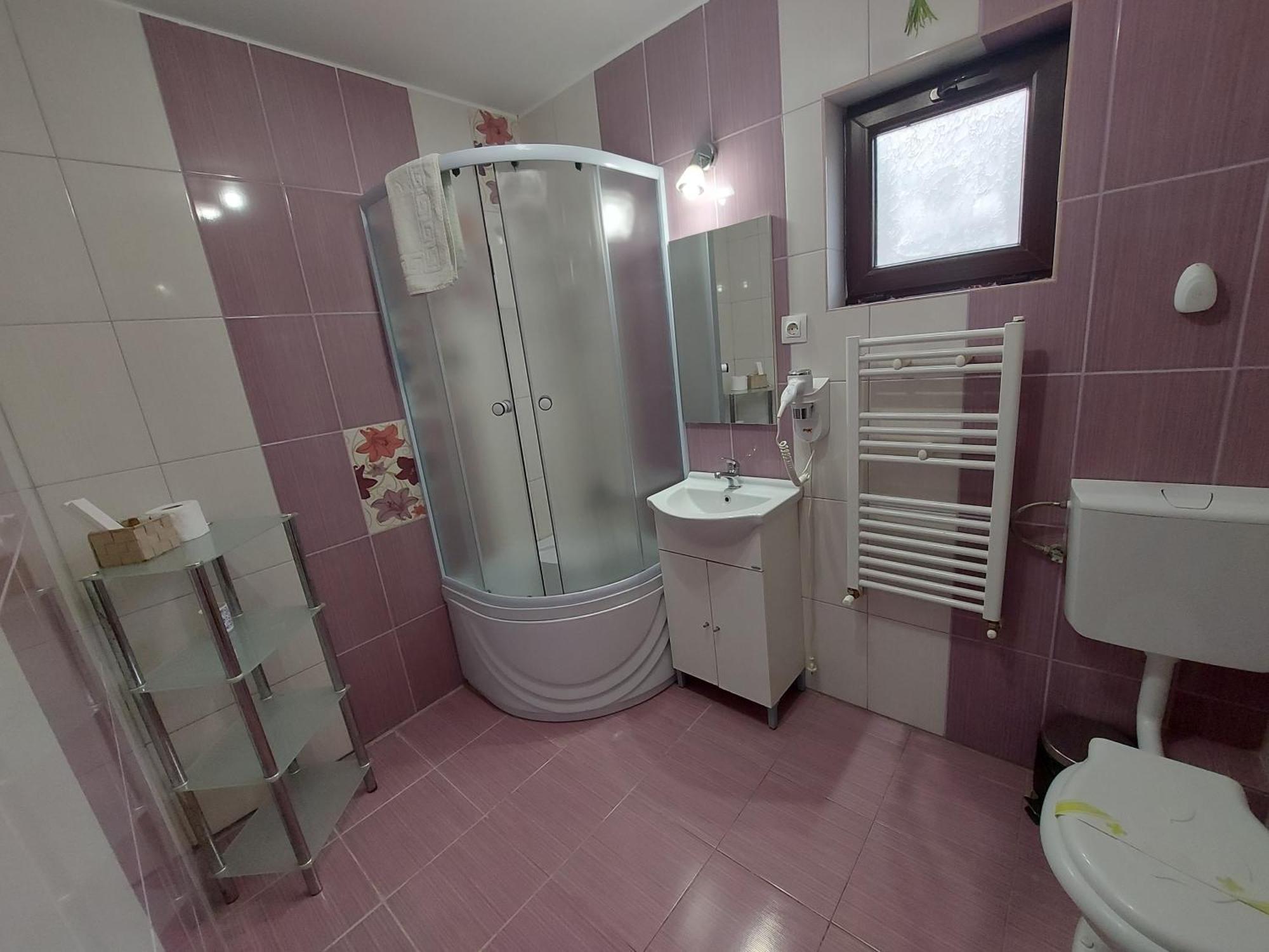Casuta Cu Trandafiri Hotel Szlanik Kültér fotó