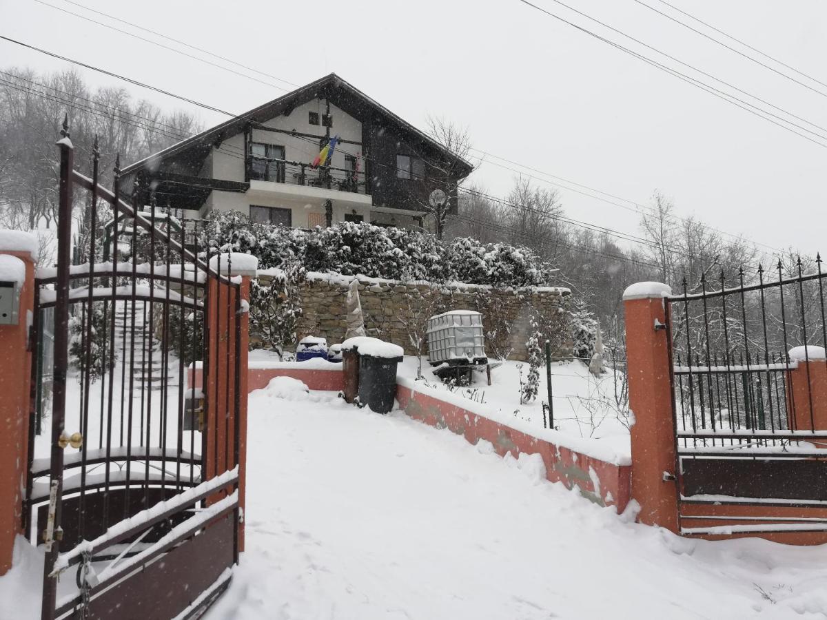 Casuta Cu Trandafiri Hotel Szlanik Kültér fotó